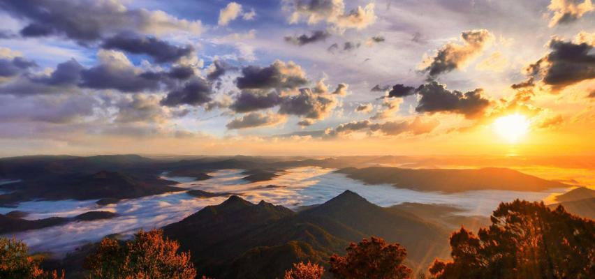 山东潍坊红太阳集团轮播图2