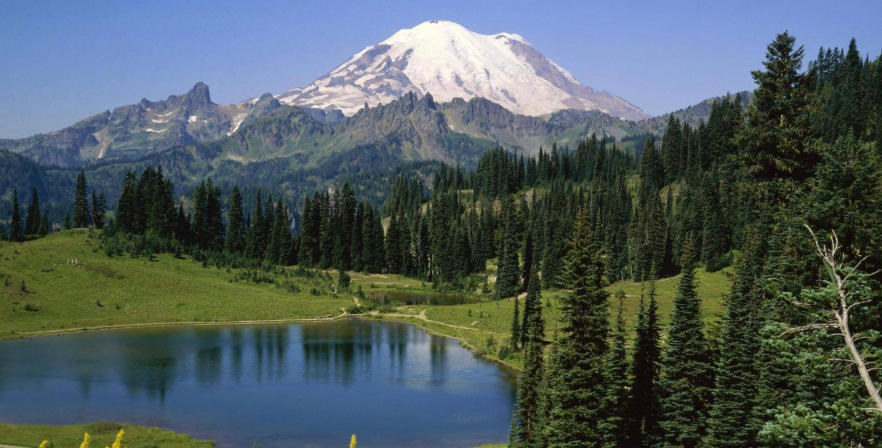 山东潍坊红太阳集团轮播图1